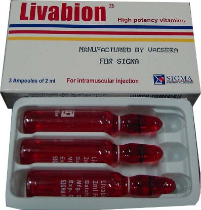 Picture of LIVABION 6 I.M. AMP 2 ML