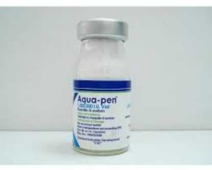 Picture of AQUA-PEN 1 M.I.U. VIAL.