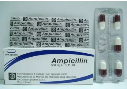 Picture of AMPICILLIN-OCTOBER PHARMA 500MG 10 CAP