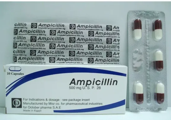 Picture of AMPICILLIN-OCTOBER PHARMA 500MG 10 CAP