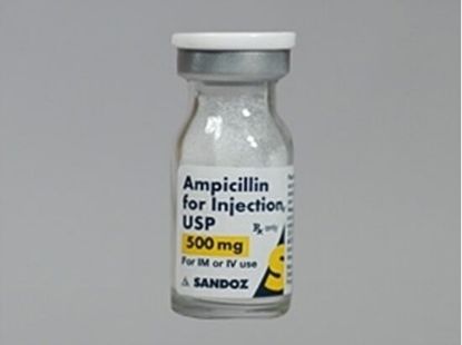 Picture of AMPICILLIN-NILE 500MG VIAL