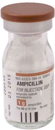 Picture of AMPICILLIN-NILE 1 G VIAL