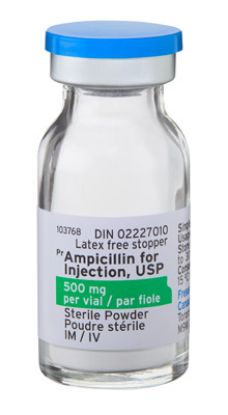 Picture of AMPICILLIN-MISR 500MG VIAL