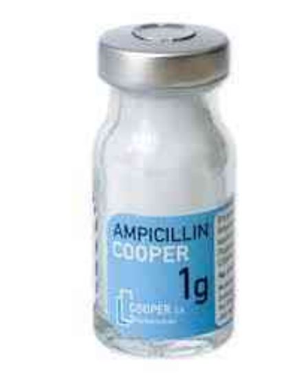 Picture of AMPICILLIN-MISR 250 MG VIAL