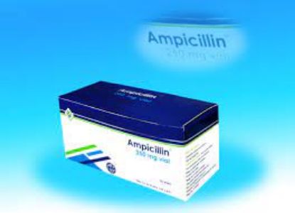 Picture of AMPICILLIN-MISR 250 MG 12 CAP