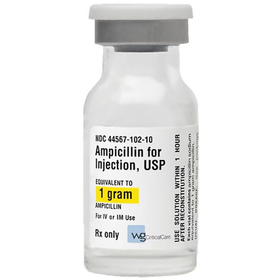 Picture of AMPICILLIN-MISR 1 GM VIAL