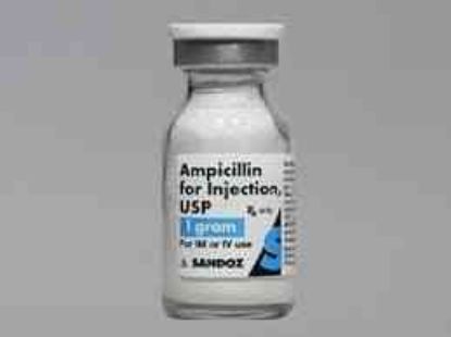 Picture of AMPICILLIN-EL NASR 1 GM VIAL