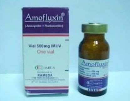 Picture of AMOFLUXIN 500MG VIAL