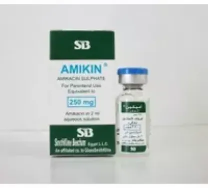 Picture of AMIKIN 250MG/2ML VIAL 