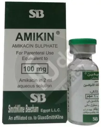 Picture of AMIKIN 100MG/2ML VIAL 